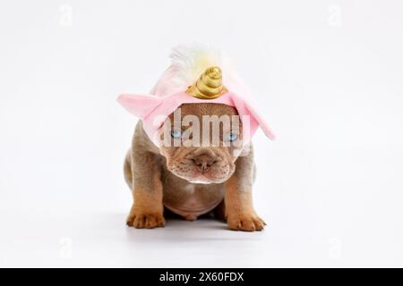 Chiot chien bouledogue français mignon avec chapeau de licorne rose mignon avec corne dorée Banque D'Images