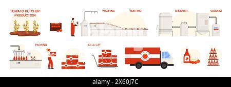 Production de ketchup de tomate, tableau infographique des étapes du processus de fabrication. Récolte et tri des légumes, hachage dans le broyeur à coller, emballage pour la livraison illustration vectorielle de dessin animé Illustration de Vecteur