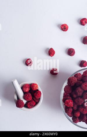 Fraise sauvage déshydratée séchée sur fond blanc copie espace Healthy Snack ingrédient concept de cuisson Banque D'Images