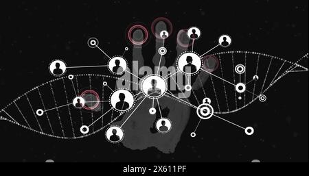 Image de filature de brin d'adn et réseau de connexions sur empreinte biométrique Banque D'Images