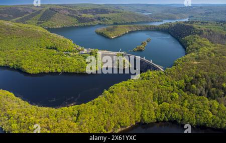 Luftbild, Fluss Rur Urftsee, Urfttalsperre Staumauer, Fernsicht Waldgebiet Täler und Hügel Nordeifel Nationalpark Eifel, Morsbach, Schleiden, Nordrhein-Westfalen, Deutschland ACHTUNGxMINDESTHONORARx60xEURO *** vue aérienne, rivière Rur Urfttalsperre, région forestière lointaine collines et vallées North Eifel, Rhénèves North Eifel National Park, Rhénanie-Westphalia, Allemagne Banque D'Images