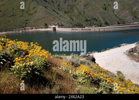 Barrage d'Arrowrock au printemps avec fleurs sauvages jaunes et réservoir Banque D'Images