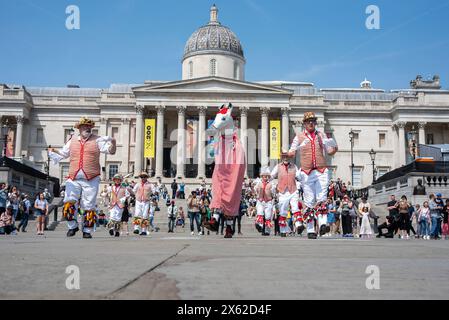Le groupe de danse Morris se produit au Trafalgar Square avec un personnage à tête de cheval sur le devant. Westminster Morris Dancers Day of Dance est un événement annuel. Des spectacles ont eu lieu dans divers endroits comme l'abbaye de Westminster, Victoria Tower Gardens, mais le principal était au Trafalgar Square. Banque D'Images