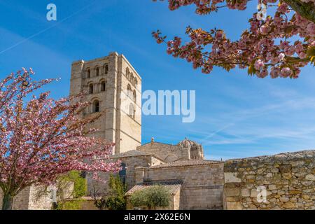 Zamora, Espagne - 11 avril 2024 : vue sur la cathédrale de Zamora et les jardins Baltasar Lobo aux couleurs printanières Banque D'Images