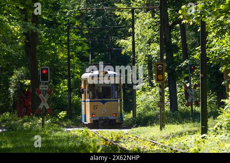 Straßenbahnromantik Die Straßenbahnlinie 87, fotografiert am 12. Mai 2024, verkehrt zwischen dem S-Bahnhof Rahnsdorf und Woltersdorf in Brandebourg. SIE zählt zu den schönsten Straßenbahnstrecken à Berlin. VOR allem im Herbst ist sie das Ziel vieler Fotografen. Auf dem Bild ist ein sogenannter Gothawagen zu sehen. Die alten DDR-Straßenbahnen wurden im Waggonwerk Gotha gefertigt Berlin Deutschland FH0A2793 *** tramway Romance la ligne de tramway 87, photographiée le 12 mai 2024, relie la station de S-Bahn de Rahnsdorf à Woltersdorf dans le Brandebourg Banque D'Images