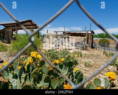Ruines d'une maison en adobe de 1855 sous un auvent protecteur encadré par une clôture chaînée à Fort Stockton TX — avril 2023 Banque D'Images