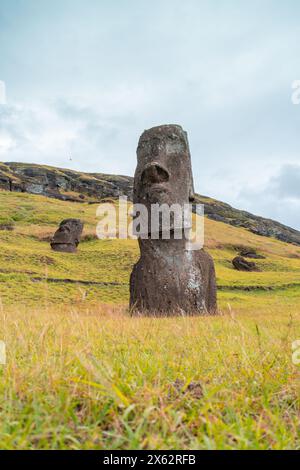 Usine Moai sur l'île de Pâques ou Rapa Nui : l'endroit où ils ont sculpté les sculptures Moai. Très vert. Banque D'Images