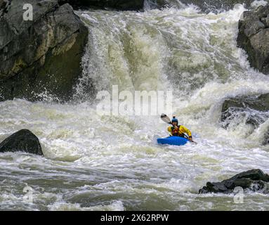 Kayakistes tirant sur le Potomac River Great Falls Rapids Banque D'Images