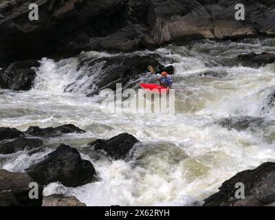 Kayakistes tirant sur le Potomac River Great Falls Rapids Banque D'Images