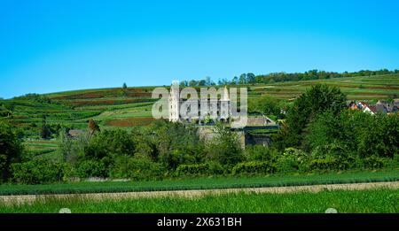 Regardez Vogtsburg-Burkheim avec les ruines du château. Kaiserstuhl, Baden-Wuerttemberg, Allemagne, Europe Banque D'Images