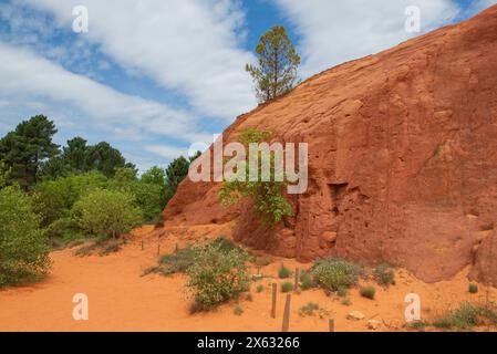 falaise ocre avec arbre en ancienne carrière ocre colorado provençale dans le luberon en france Banque D'Images