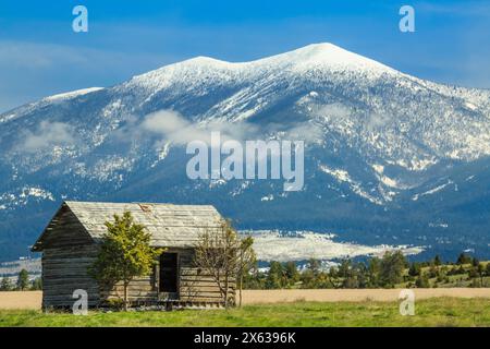 vieille cabane en rondins sous le mont baldy dans les montagnes de la grande ceinture près de townsend, montana Banque D'Images