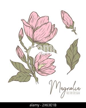 Illustration de ligne de fleur de magnolia. Contour dessiné à la main de l'herbe de mariage, feuilles élégantes pour invitation enregistrer la carte de date. Vert botanique tendance Illustration de Vecteur