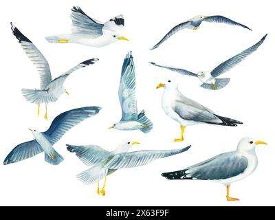 Ensemble d'aquarelle volant dans le ciel et mouettes debout isolées sur fond blanc. Illustration dessinée à la main sur le thème de la pêche en mer. Enfants Banque D'Images