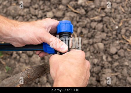 Un homme installe un système d'irrigation goutte à goutte automatique pour son jardin. Fixation et raccordement des tuyaux à l'aide d'un raccord. Banque D'Images