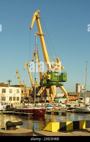 Klaipeda, Lituanie - 11 août 2023 : une grue est calmement assise dans l'eau, ses longues jambes partiellement submergées alors qu'elle observe ses environs. Banque D'Images