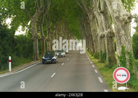 Nîmes, France - 30 mai 2023 : les voitures roulent le long d'une route paisible flanquée de grands arbres feuillus, sous une lumière douce du jour, adhérant à la route sans dépassement Banque D'Images