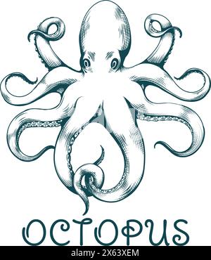 Gravure vintage Octopus céphalopode Illustration de Vecteur