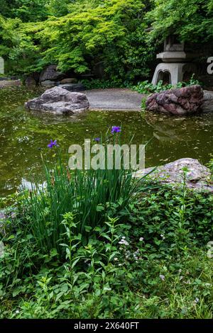 Kamonyama Park est situé sur la colline surplombant Yokohama Minato Mirai. Ce parc compte 200 cerisiers et un petit jardin d'étang japonais. C'était ori Banque D'Images