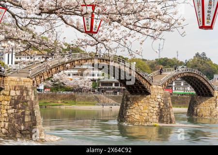 Kintai Bridge Sakura Festival. Les cerisiers fleurissent le long de la rive de la rivière Nishiki. Iwakuni, préfecture de Yamaguchi, Japon. Banque D'Images