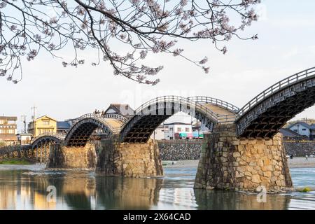 Kintai Bridge Sakura Festival. Les cerisiers fleurissent le long de la rive de la rivière Nishiki. Iwakuni, préfecture de Yamaguchi, Japon. Banque D'Images