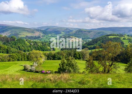 Paysage près de Berwyn dans le Denbighshire, Clwyd, pays de Galles, Royaume-Uni Banque D'Images
