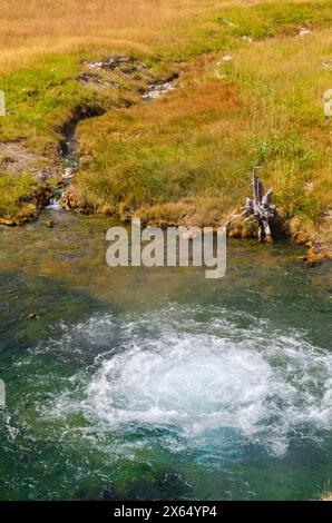 De l'eau chaude bouillonnante dans l'une des piscines de la station thermale de Terrace Springs. Parc national de Yellowstone, États-Unis Banque D'Images