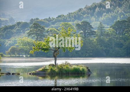 La brume s'éclaircit au-dessus de l'eau de Rydal dans le Lake District anglais en automne tranquille Banque D'Images