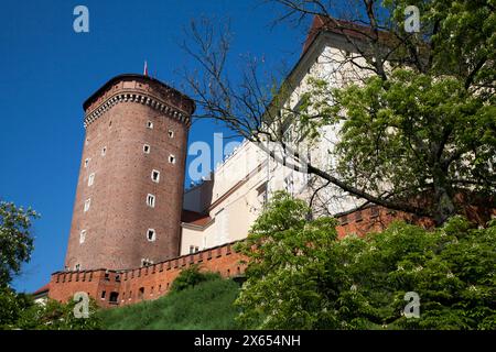 Tour Senatorska - Baszta Senatorska na Wawelu Banque D'Images