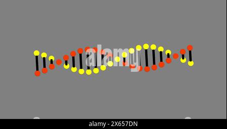 Image de l'adn tournant sur fond gris Banque D'Images