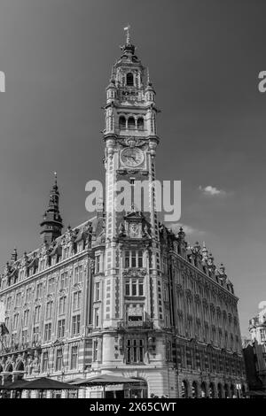 France - Lille photographie de rue Banque D'Images