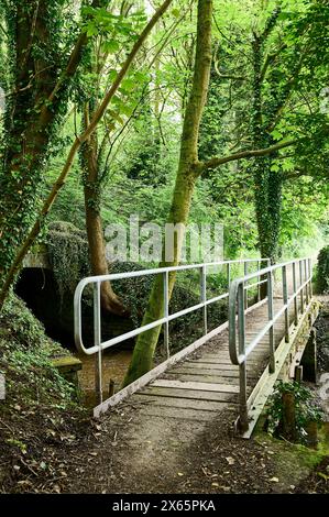 Passerelle au-dessus du cours d'eau dans la zone boisée, royaume-uni Banque D'Images