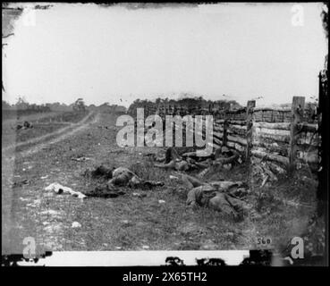 Antietam, Md. Morts confédérés près d'une clôture sur la route de Hagerstown, photographies de la guerre de Sécession 1861-1865 Banque D'Images