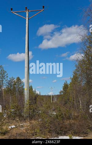 Lignes électriques sur des poteaux en bois dans la forêt au printemps avec des nuages dans le ciel. Banque D'Images