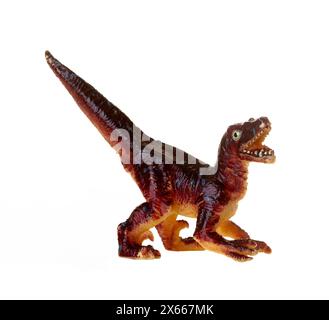 Réplique détaillée d'un dinosaure vélociraptor isolé sur un fond blanc Banque D'Images
