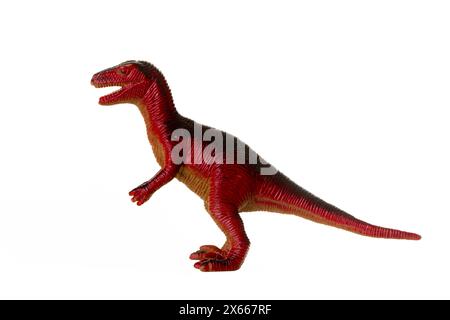 Réplique détaillée d'un dinosaure vélociraptor isolé sur un fond blanc Banque D'Images