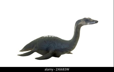 Réplique détaillée d'un plésiosaure, un reptile marin ancien, isolé sur un fond blanc. Mise au point sélective sur la tête. Banque D'Images