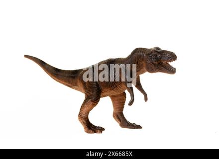 Réplique de jouet détaillée d'un tyrannosaurus rex positionné sur un fond blanc sans couture, adapté au contenu éducatif Banque D'Images