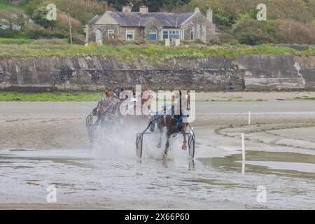 Course attelée sur la plage de Harbour View, Kilbrittain, West Cork, mai 2024 Banque D'Images