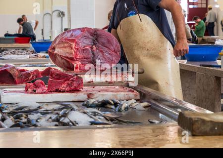 Thon poisson à vendre dans la halle de marché de Funchal sur l'île portugaise de Madère. Intérieur du Mercado dos Lavradores (français : marché des fermiers) Banque D'Images