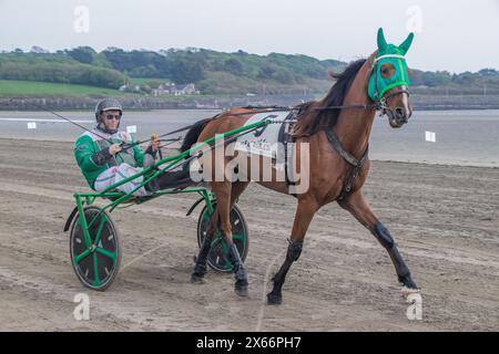 Course attelée sur la plage de Harbour View, Kilbrittain, West Cork, mai 2024 Banque D'Images