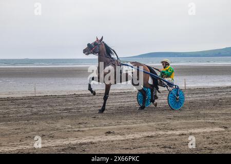 Course attelée sur la plage de Harbour View, Kilbrittain, West Cork, mai 2024 Banque D'Images
