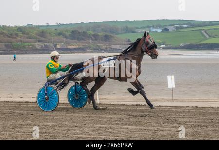 Course attelée sur la plage de Harbour View, Kilbrittain, West Cork, mai 2024 Banque D'Images