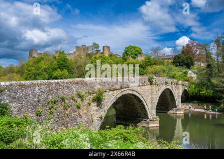 Le château de Ludlow surplombe Dinham Bridge et la rivière Teme, dans le Shropshire. À Ludlow, Shropshire, Angleterre. Banque D'Images