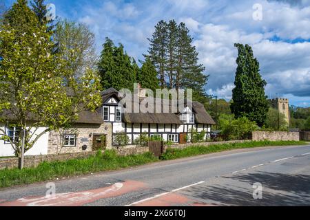 Propriété de chaume de Cottage dans le village rural d'Aymestrey Herefordshire Royaume-Uni, avec St John the Baptist & St Alkmund église Banque D'Images