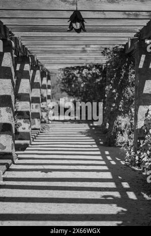 Chemin de jardin sous pergola Banque D'Images