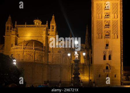 Cathédrale de Séville (Catedral de Sevilla) illuminée la nuit dans la ville de Séville, Andalousie, Espagne. Banque D'Images
