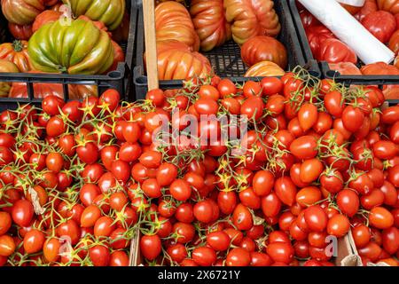 Petites et grosses tomates à vendre sur un marché Banque D'Images