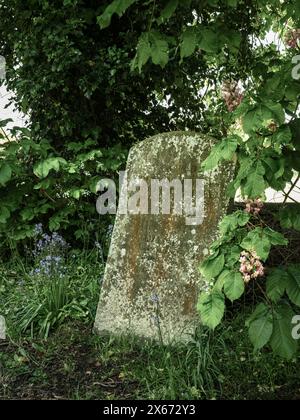 L'une des anciennes pierres tombales dispersées parmi les arbres et les grosses cloches du cimetière Holy Cross, Ashton Keynes, Wiltshire. Banque D'Images