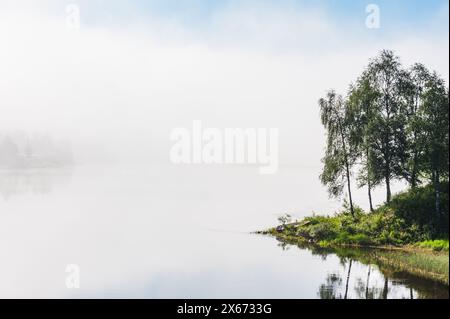 Une vue matinale sereine sur la rivière Trysil enveloppée de brume, avec des arbres debout tranquillement sur le bord de l'eau en Norvège. La tranquillité de la scène est Banque D'Images